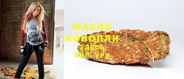 крисы Козельск