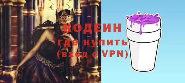 крисы Козельск