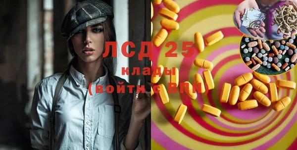 крисы Козельск
