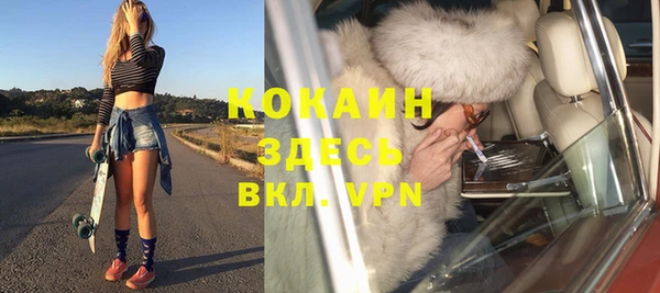 крисы Козельск