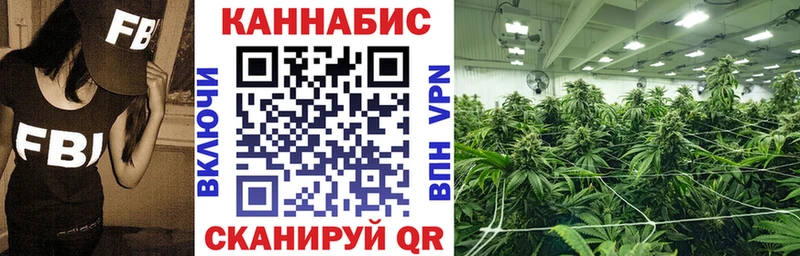 где найти   Киренск  Бошки марихуана THC 21% 